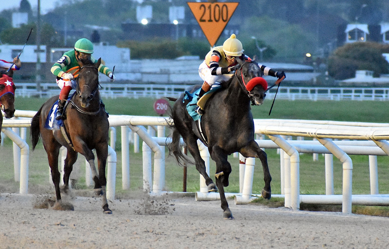 Suablenanav TH vence o Gran Premio Jockey Club (G3) e fica a um passo da tríplice coroa uruguaia!