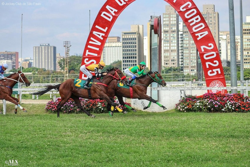 Gesto Nobre ratifica dotes de fundista e supera Rick The Great