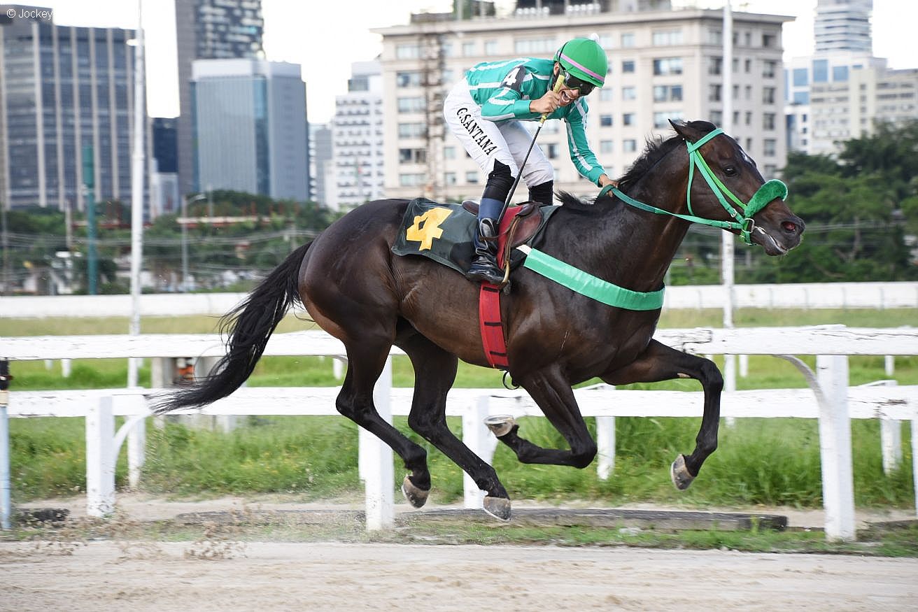 Aprendiz Gabriel Santana leva Kruswarovski à uma linda vitória no G.P. Piratininga (G3)!