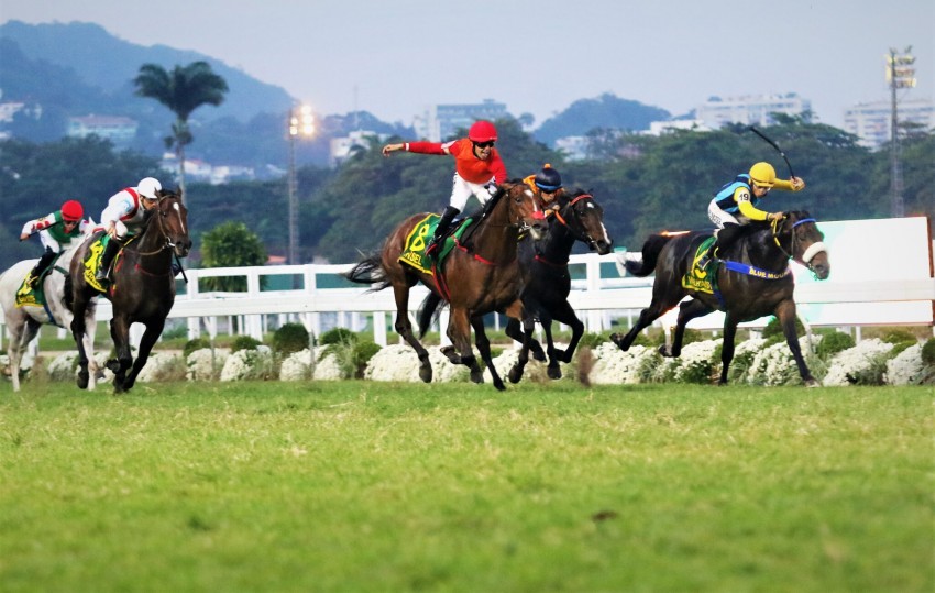 Em final dramático, Sinsel conquista o Grande Prêmio Brasil (G1) - Shopping Leblon Em final dramático, Sinsel conquista o Grande Prêmio Brasil (G1) - Shopping Leblon
