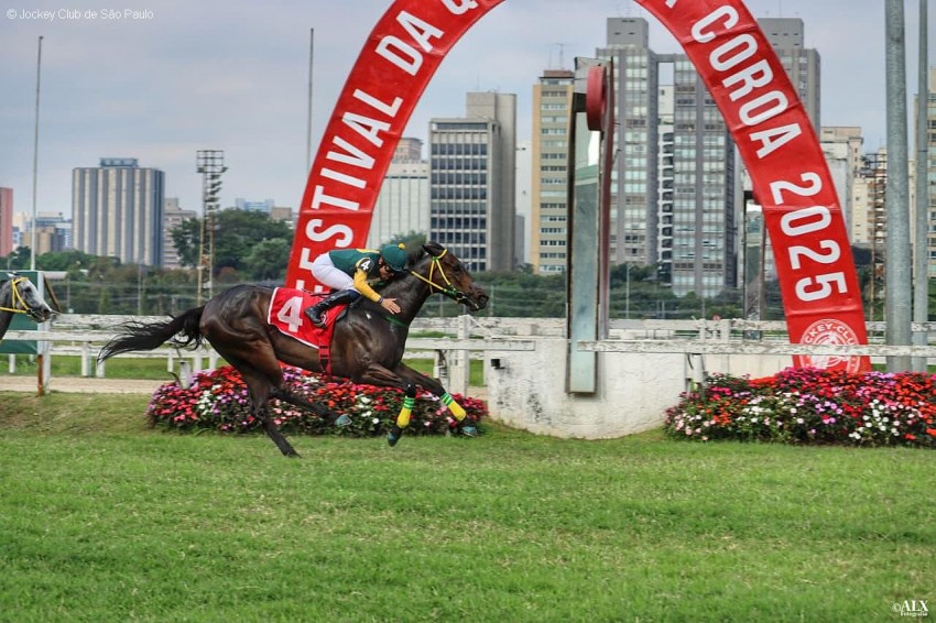 De volta ao quilômetro, Piu Carina brilha no GP Proclamação da República (G2)