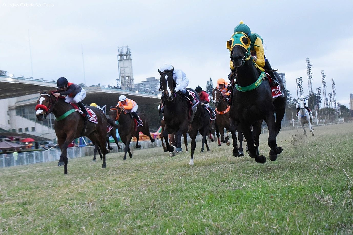 A Copa Japão de Turfe (G3) é de Bubble O'Gold