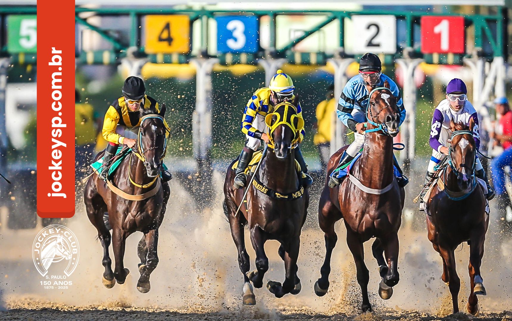Hoje tem corridas no Cristal RS a partir das 15h37min e o Pick 6 e o Betting 3 como atrações