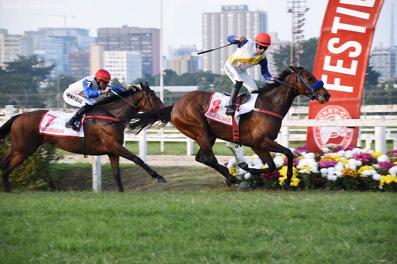 Dream Alliance reina, em dobrada da Fazenda Mondesir, no GP São Paulo (G1)