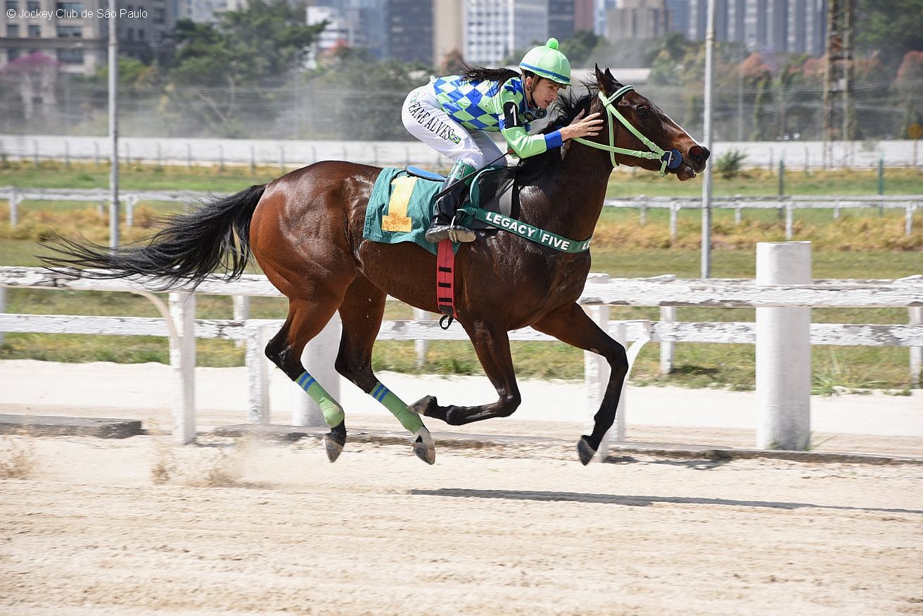 Favorita da Lagoa vence, pela segunda vez, o Handicap Especial Jacutinga