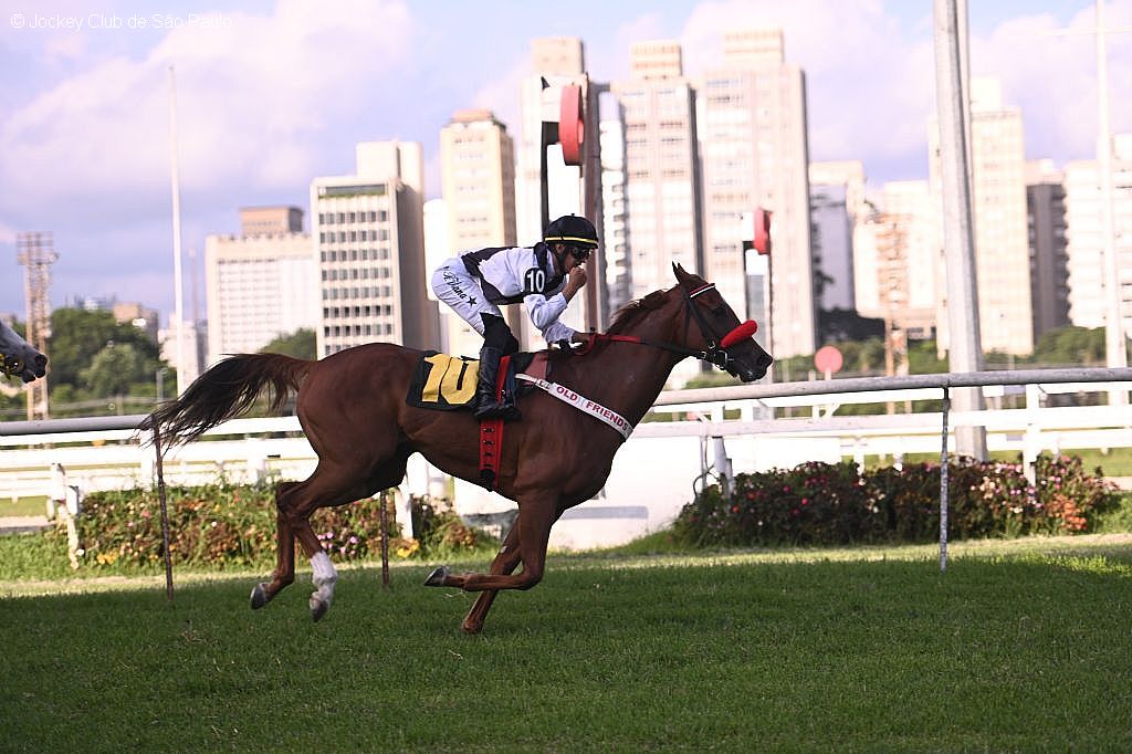 Flying Star brilha no Grande Prêmio Presidente Luiz Oliveira de Barros (G2)