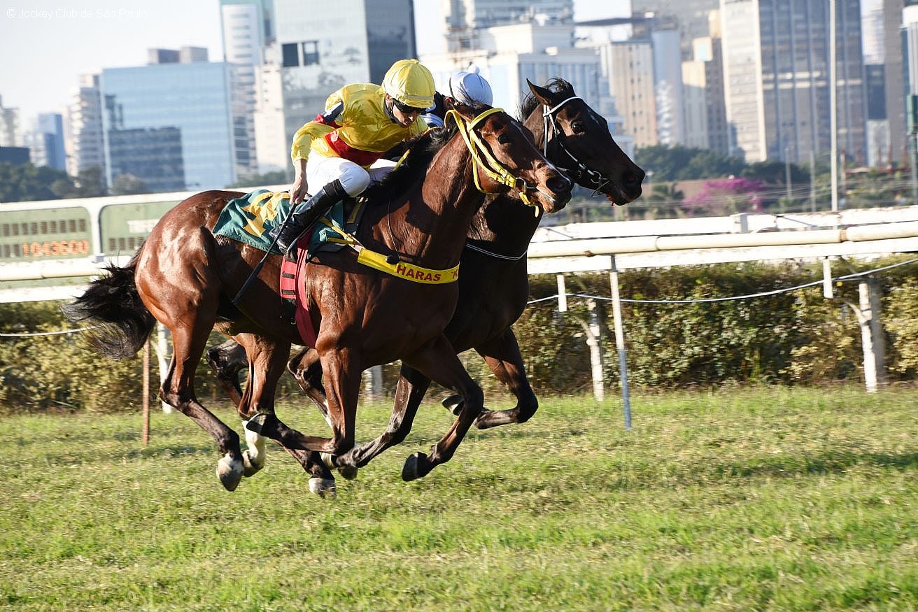 La Cristina supera Tempest Shadow, em São Paulo