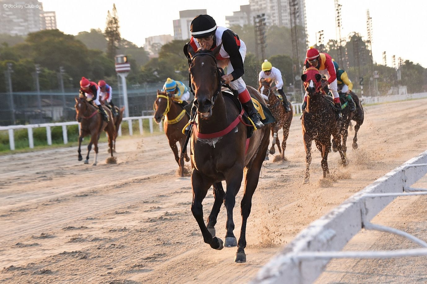 Meydan confirma favoritismo na Prova Especial Alberto Marchioni