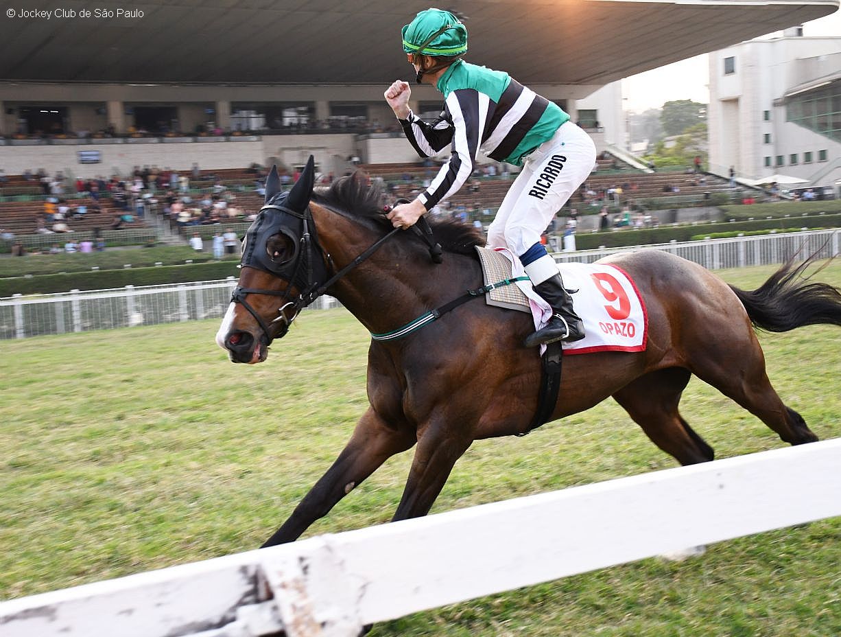 Em tarde de Haras Cifra, Opazo vence o Grande Prêmio Ipiranga (G1)