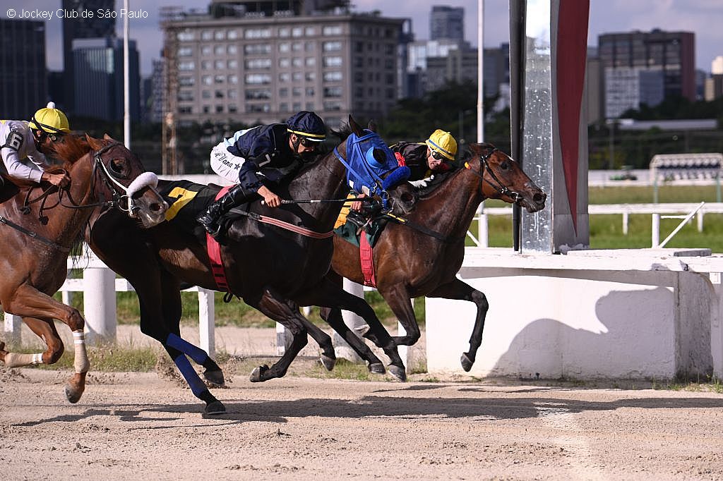 Palm Beach conquista o Handicap Especial Raymond Naufal