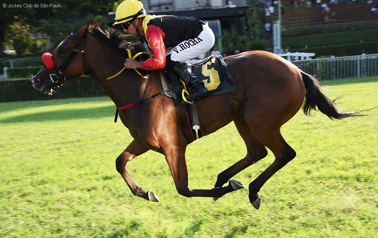 Perfect Plastic surpreende as favoritas no GP Pres. José Antônio Pamplona de Andrade (G3)