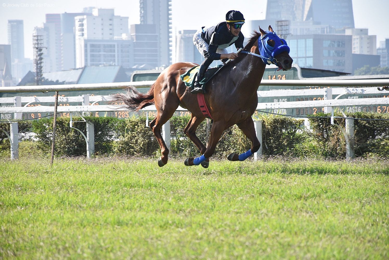 jockey club, são carlos-sp 