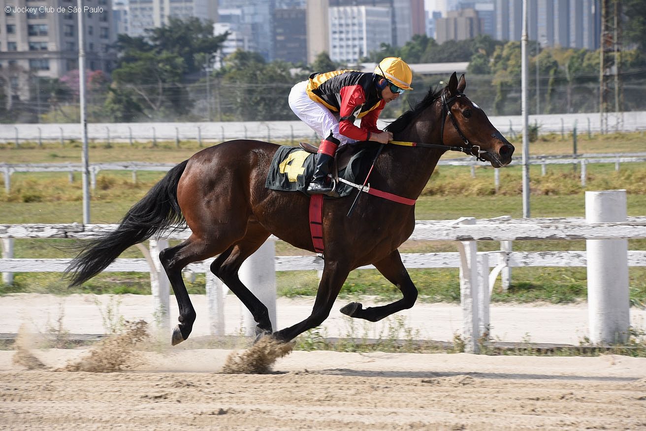 Shallow Now vence, com muita autoridade, o G.P. Roberto Alves de Almeida (G3)