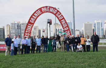 Festival Grande Premio Sao Paulo 2025