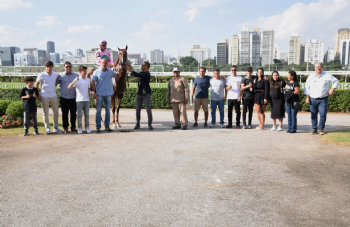 Festival Grande Premio Sao Paulo 2025