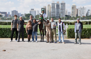 Festival Grande Premio Sao Paulo 2025