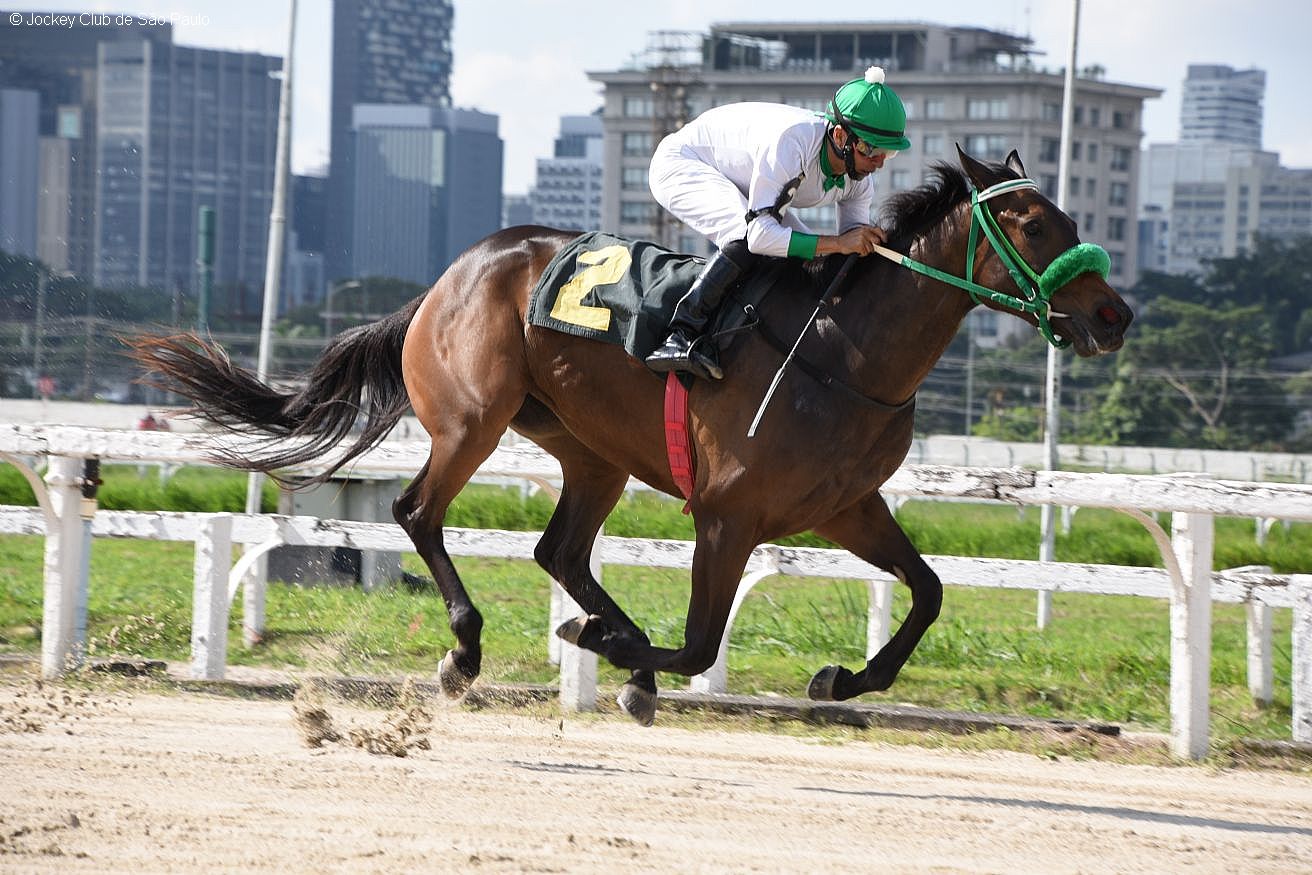 Zuranga conquista primeira vitória, diretamente, em listed race